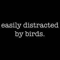 Easily Distracted By Birds Minimalist Birdwatching Birder 7-Panel Snapback Hat