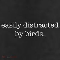 Easily Distracted By Birds Minimalist Birdwatching Birder Beanie