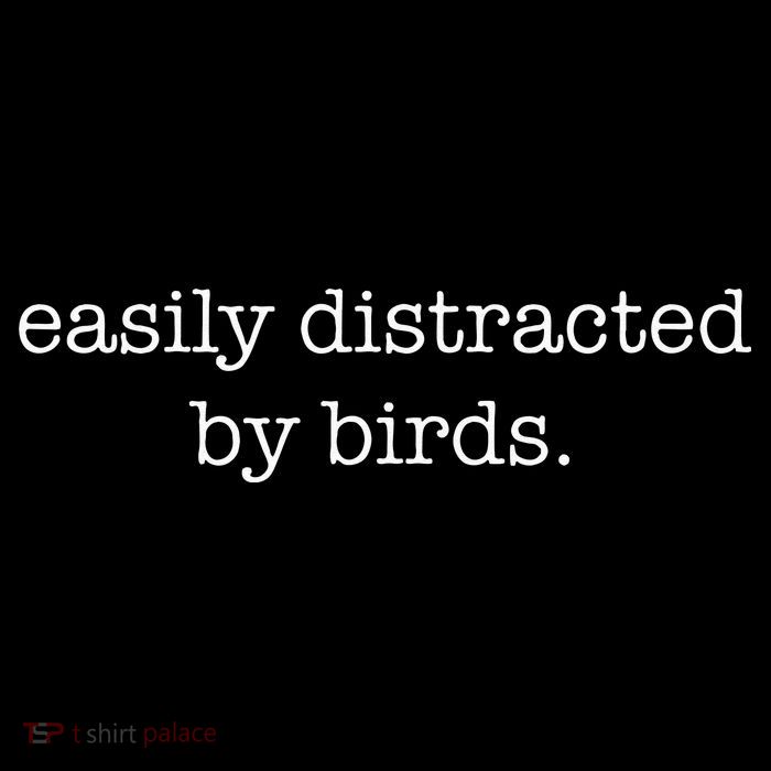 Easily Distracted By Birds Minimalist Birdwatching Birder Tall Sweatshirt
