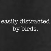 Easily Distracted By Birds Minimalist Birdwatching Birder 25L Jumbo Tote