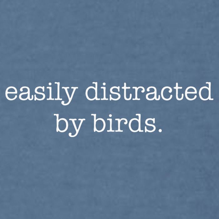 Easily Distracted By Birds Minimalist Birdwatching Birder Garment-Dyed Sweatshirt