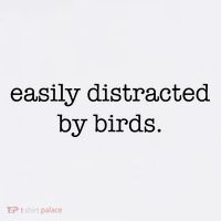 Easily Distracted By Birds Minimalist Birdwatching Birder T-Shirt
