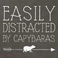 Easily Distracted By Capybaras Gift For   Mammal  Cotton Canvas Backpack