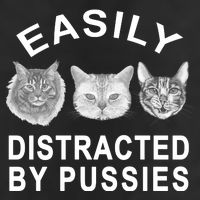 EASILY DISTRACTED BY PUSSIES 7 Panel Mesh Trucker Snapback Hat