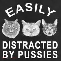 EASILY DISTRACTED BY PUSSIES Adult Drive Performance Visor