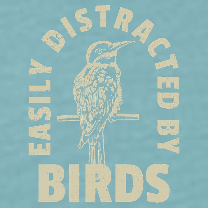 Easily Distracted By Birds Sueded Cloud Jersey T-Shirt