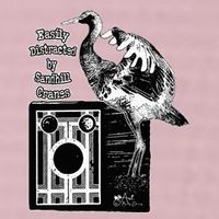 Easily Distracted By Sandhill Cranes Wantique Camera 25L Jumbo Tote