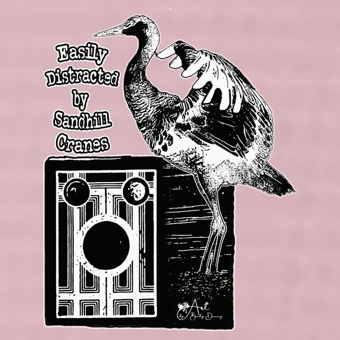 Easily Distracted By Sandhill Cranes Wantique Camera 25L Jumbo Tote