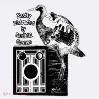 Easily Distracted By Sandhill Cranes Wantique Camera Garment-Dyed Sweatshirt