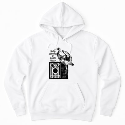 Easily Distracted By Sandhill Cranes Wantique Camera Hoodie