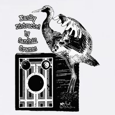Easily Distracted By Sandhill Cranes Wantique Camera T-Shirt
