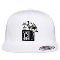 Easily Distracted By Sandhill Cranes Wantique Camera Flat Bill Trucker Hat