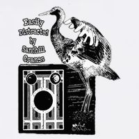 Easily Distracted By Sandhill Cranes Wantique Camera Flat Bill Trucker Hat