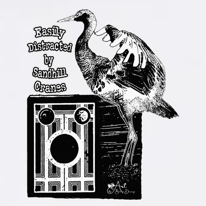 Easily Distracted By Sandhill Cranes Wantique Camera Flat Bill Trucker Hat