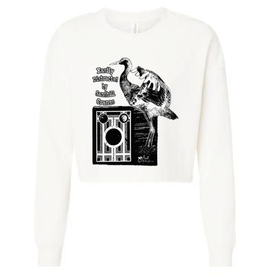 Easily Distracted By Sandhill Cranes Wantique Camera Cropped Pullover Crew