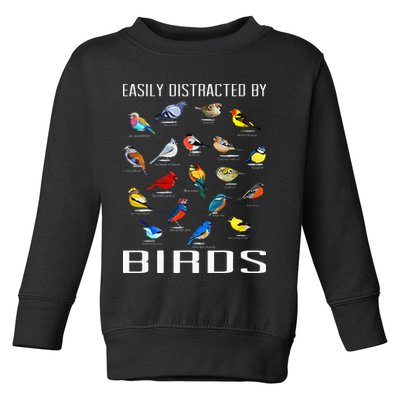 Easily Distracted By Birds Birdwatching Lover Birdwatcher Toddler Sweatshirt