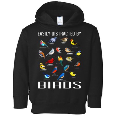 Easily Distracted By Birds Birdwatching Lover Birdwatcher Toddler Hoodie