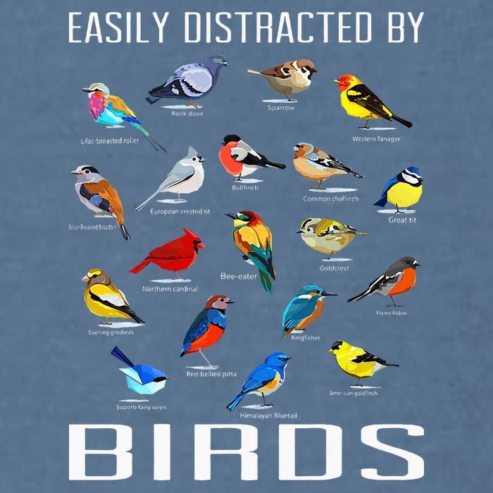 Easily Distracted By Birds Birdwatching Lover Birdwatcher Garment-Dyed Sweatshirt