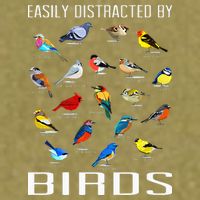 Easily Distracted By Birds Birdwatching Lover Birdwatcher Garment-Dyed Women's Muscle Tee