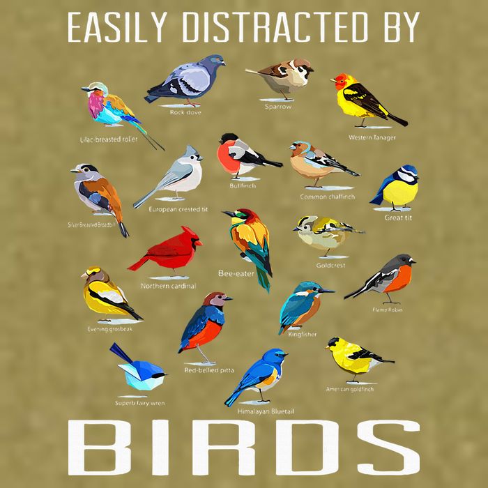 Easily Distracted By Birds Birdwatching Lover Birdwatcher Garment-Dyed Women's Muscle Tee
