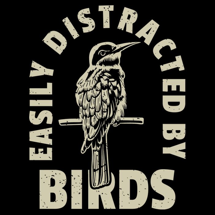 Easily Distracted By Birds Bird Cage Vintage Distress Hoodie