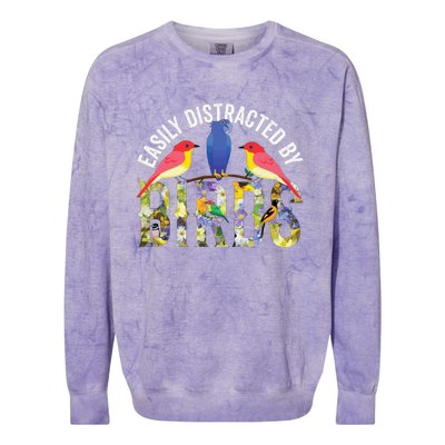 Easily Distracted By Birds Funny Bird Wtahers Colorblast Crewneck Sweatshirt