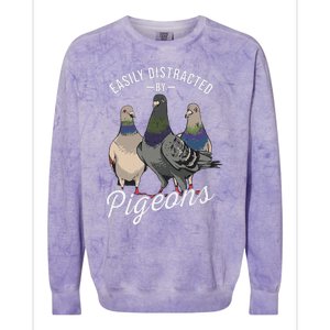 Easily Distracted By Pigeons Pigeon Lover Colorblast Crewneck Sweatshirt