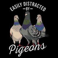Easily Distracted By Pigeons Pigeon Lover Flat Bill Trucker Hat