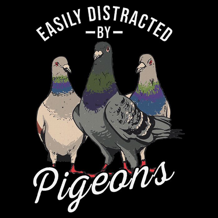 Easily Distracted By Pigeons Pigeon Lover Flat Bill Trucker Hat