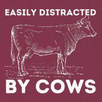 Easily Distracted By Cows Cow Lover Famer Cattle Ranch 16oz Travel Tumbler