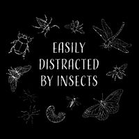 Easily Distracted By Insects Funny Flat Bill Trucker Hat