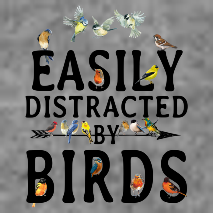 Easily Distracted By Birds Bird Lover Toddler Sweatshirt