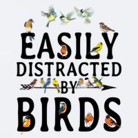 Easily Distracted By Birds Bird Lover Sueded Cloud Jersey T-Shirt