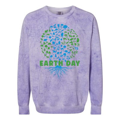 Earth Day Cute 54th Earth Day 2024 Colorblast Crewneck Sweatshirt