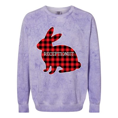 Easter Day Costume Red Plaid Bunny Graphic Receptionist Gift Colorblast Crewneck Sweatshirt