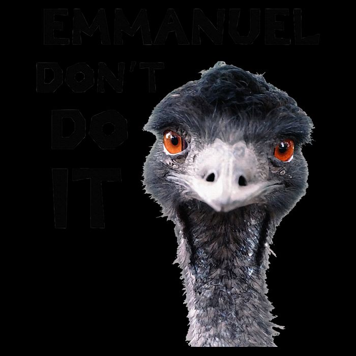 Emmanuel DonT Do It Viral Emu 16oz Travel Tumbler