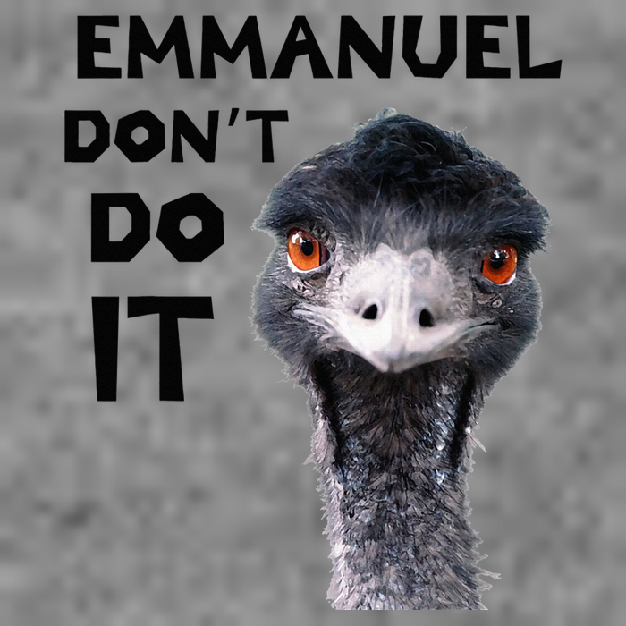 Emmanuel DonT Do It Viral Emu Tall Sweatshirt