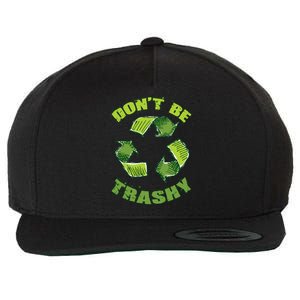 Earth Day Dont Be Trashy Save Planet Recycle Support Ecology Gift Wool Snapback Cap