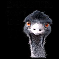 Emmanuel Don't Do It Viral Emu 16oz Travel Tumbler