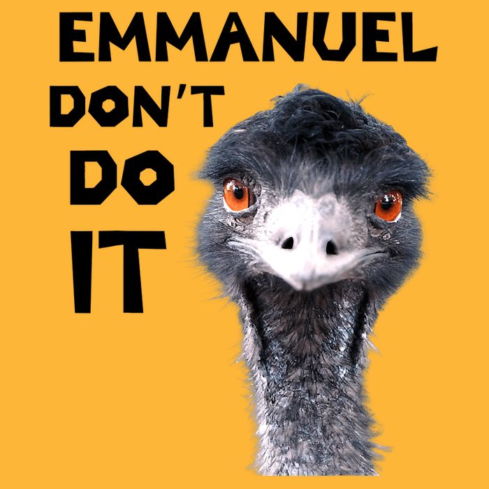 Emmanuel Don't Do It Viral Emu Sustainable Knit Beanie
