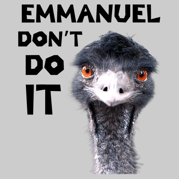 Emmanuel Don't Do It Viral Emu Tie-Dye T-Shirt