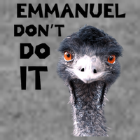 Emmanuel Don't Do It Viral Emu Tall Hoodie