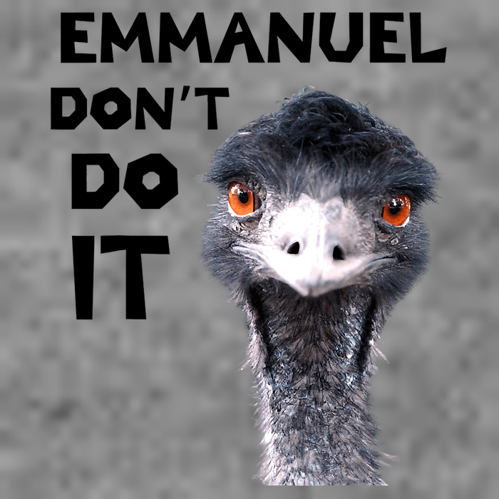 Emmanuel Don't Do It Viral Emu Tall Hoodie