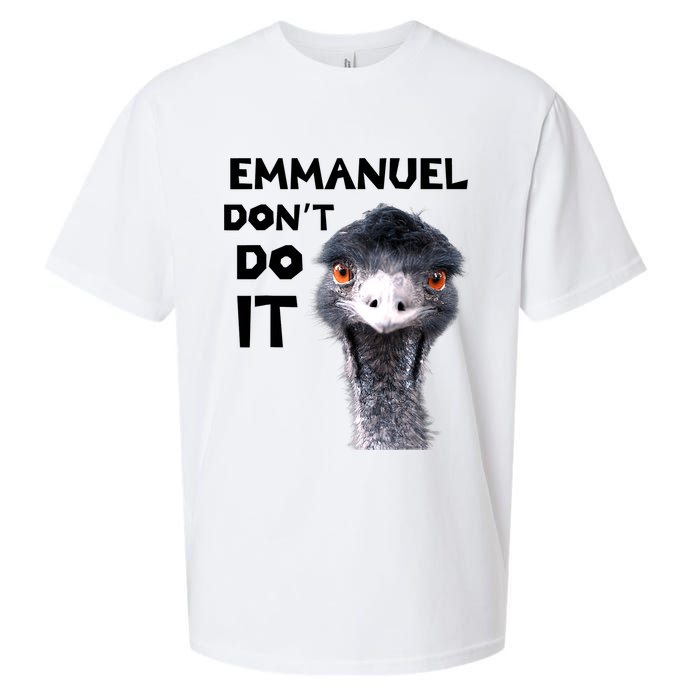 Emmanuel Don't Do It Viral Emu Sueded Cloud Jersey T-Shirt