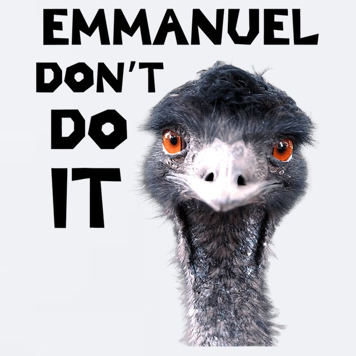 Emmanuel Don't Do It Viral Emu Sueded Cloud Jersey T-Shirt