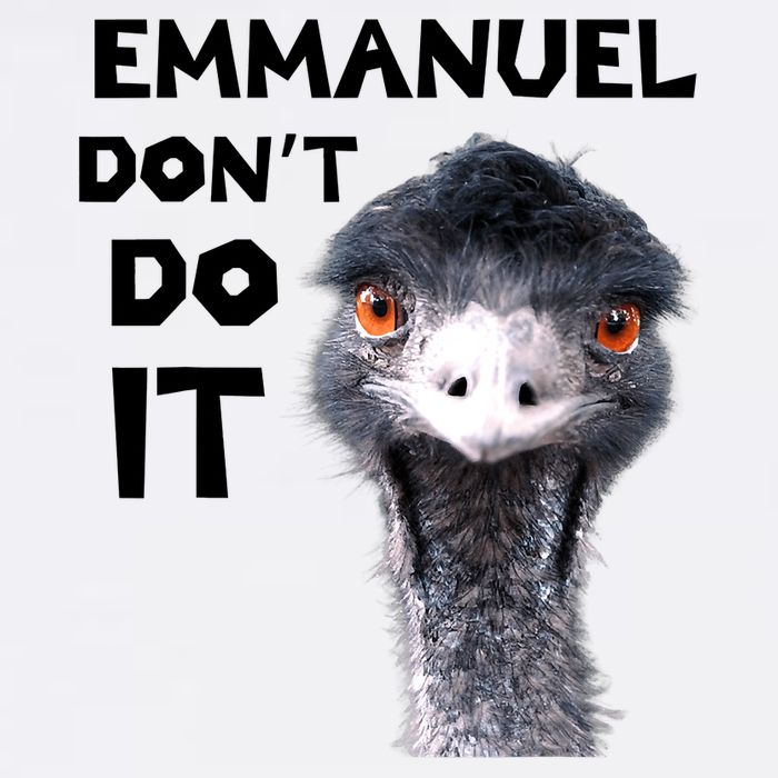Emmanuel Don't Do It Viral Emu Garment-Dyed Sweatshirt