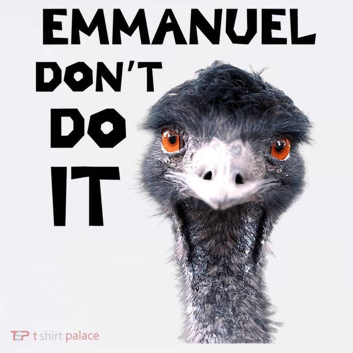 Emmanuel Don't Do It Viral Emu Youth Performance Sprint T-Shirt