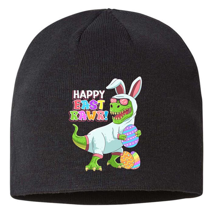 Easter Day Dinosaur Funny Happy Eastrawr T Rex Easter Sustainable Beanie