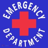 Emergency Departt Emergency Room Healthcare Nursing Nurse Gift Premium T-Shirt