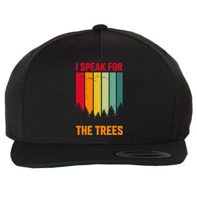 Earth Day Environmental Statement Graphic Wool Snapback Cap